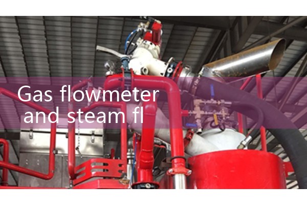 Gas flowmeter and steam flowmeter